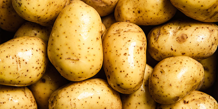 General commodities trading company